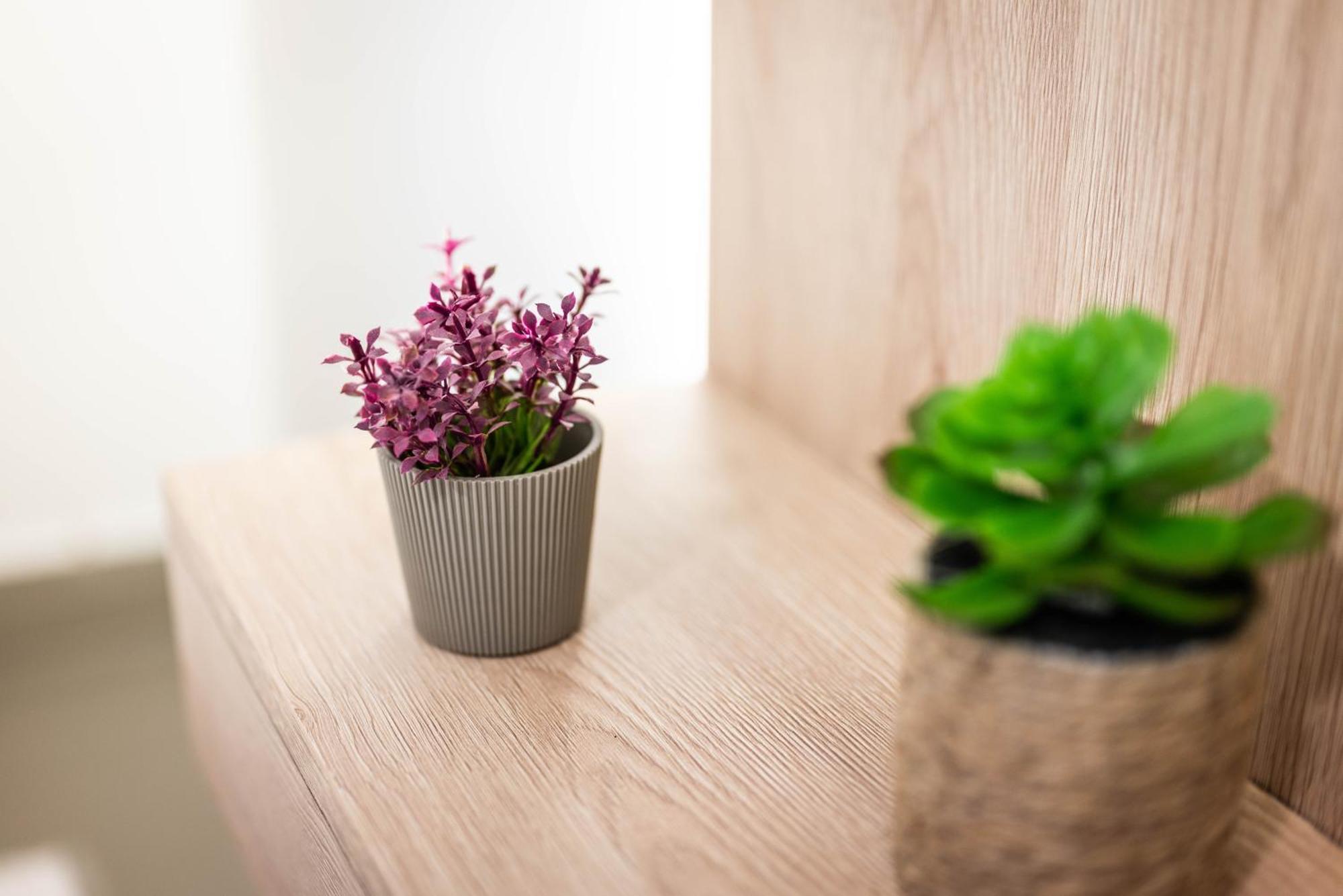Studio Apartment Cudo Nevidjeno Karuc Dış mekan fotoğraf